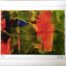 Lithographie, 60191, Gerhard Richter